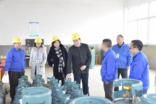 嘉燃集團開展安全生產(chǎn)專項檢查.JPG 嘉燃集團開展安全生產(chǎn)專項檢查.JPG